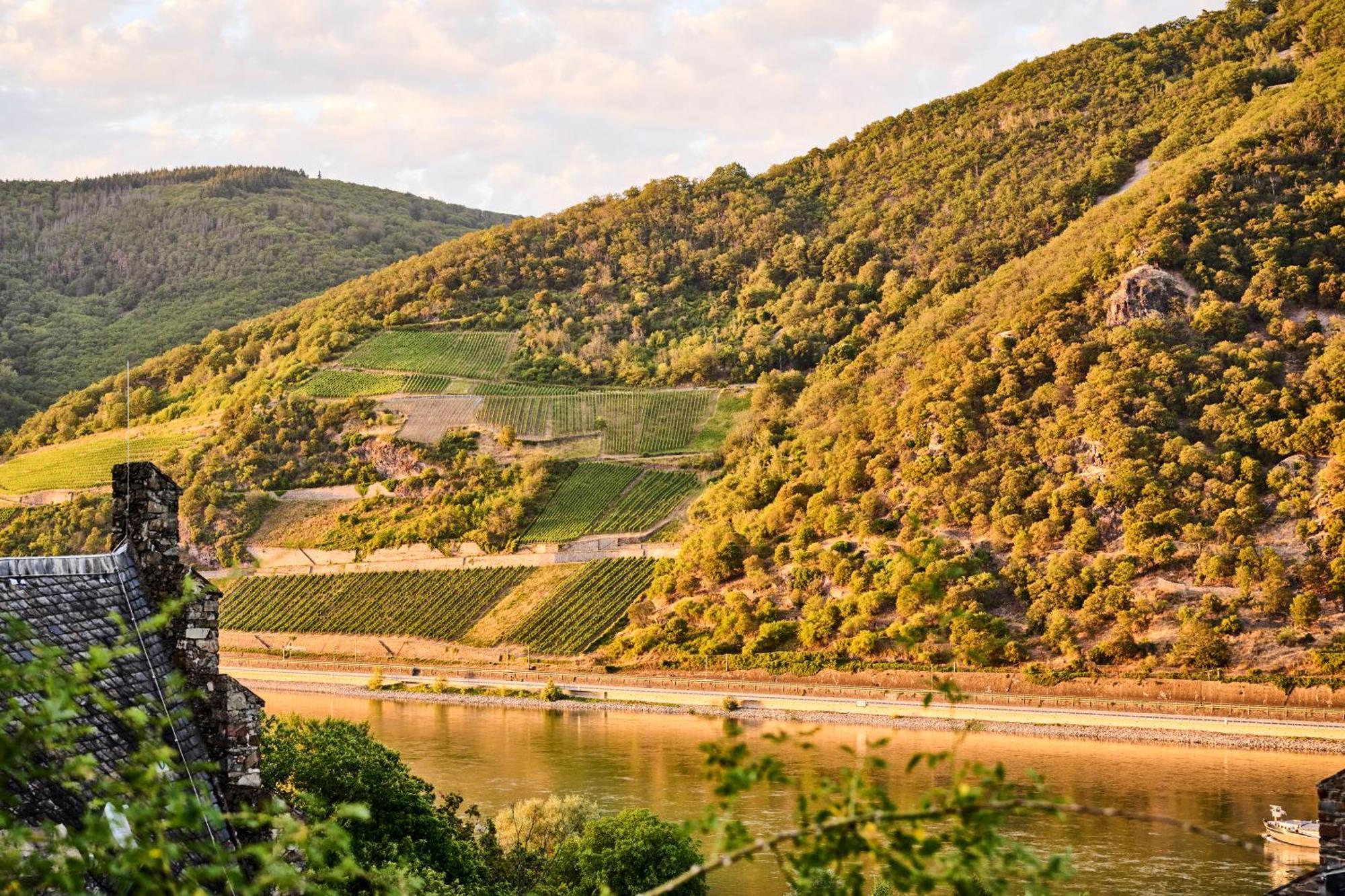 Winzerhof Ross & Rose Hotell Trechtingshausen Exteriör bild